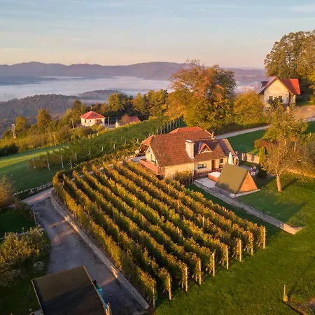 Vineyard Hocevar