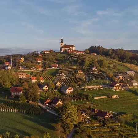 Vineyard Hocevar