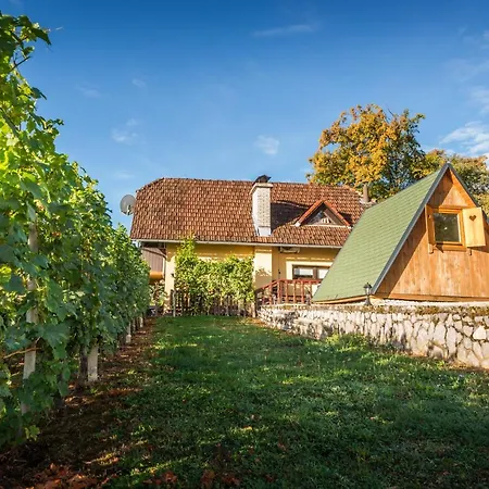 Vineyard Hocevar * Νόβο Μέστο