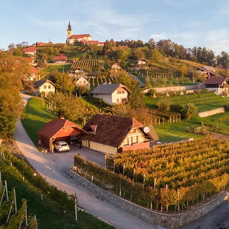 Vineyard Hocevar Διαμέρισμα *