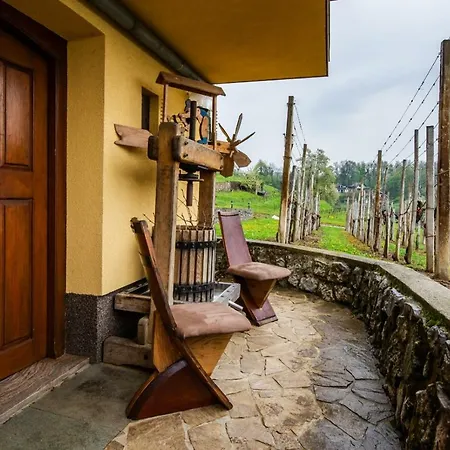 Vineyard Hocevar Novo Mesto