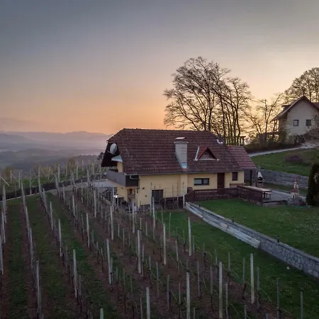 Апартаменты Vineyard Hocevar Ново-Место