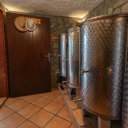 Vineyard Hocevar * Νόβο Μέστο