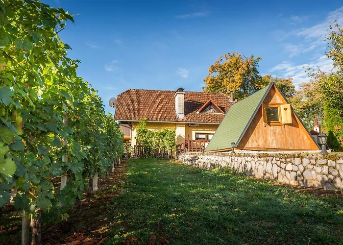 Vineyard Hocevar * Νόβο Μέστο