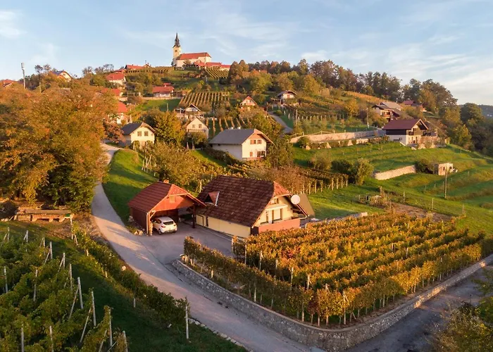 Vineyard Hocevar Διαμέρισμα *