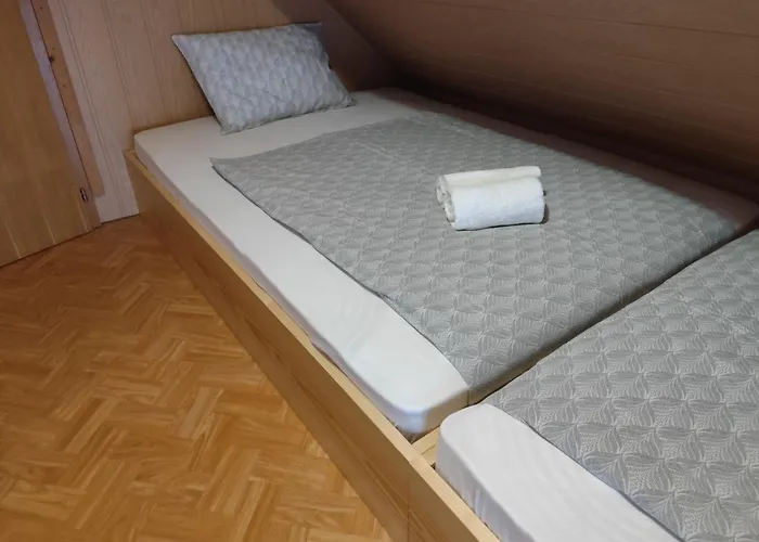 Appartement Vineyard Hocevar *