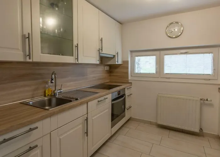 Appartement Vineyard Hocevar *