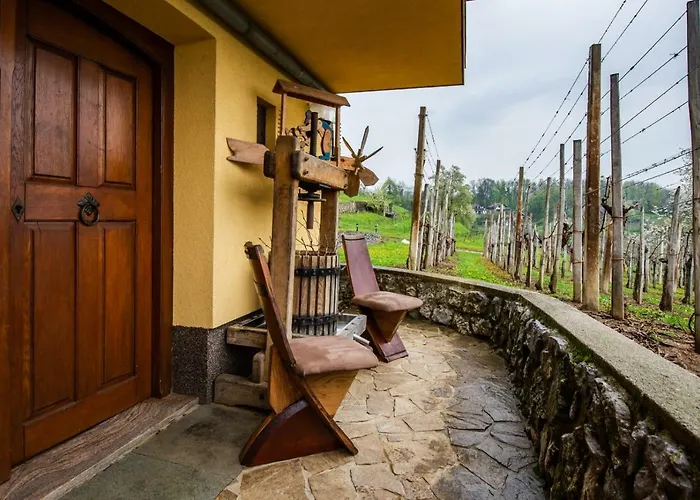 Vineyard Hocevar Νόβο Μέστο