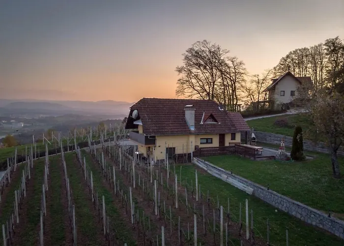 Appartement Vineyard Hocevar Novo Mesto
