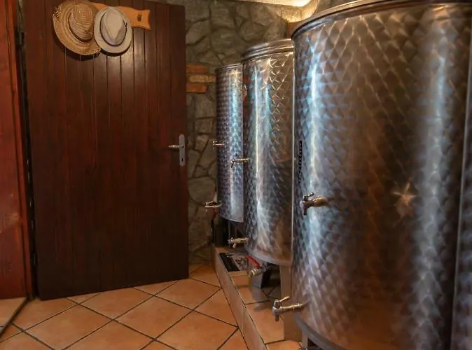 Vineyard Hocevar * Novo Mesto